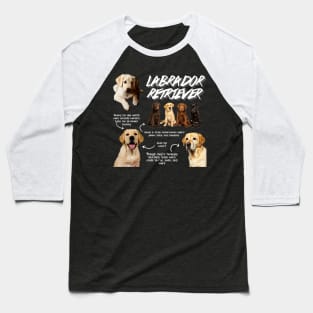 Labrador Retriever Fun Facts Baseball T-Shirt